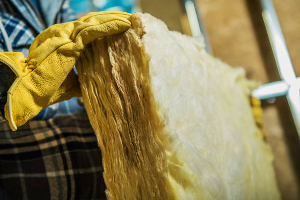 Best Insulation Inspection Services  in Brightwood, VA