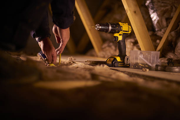 Best Insulation Removal  in Brightwood, VA